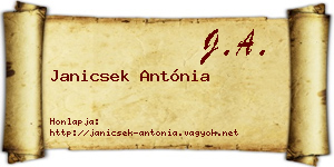 Janicsek Antónia névjegykártya
