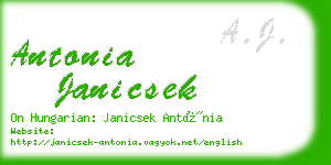 antonia janicsek business card